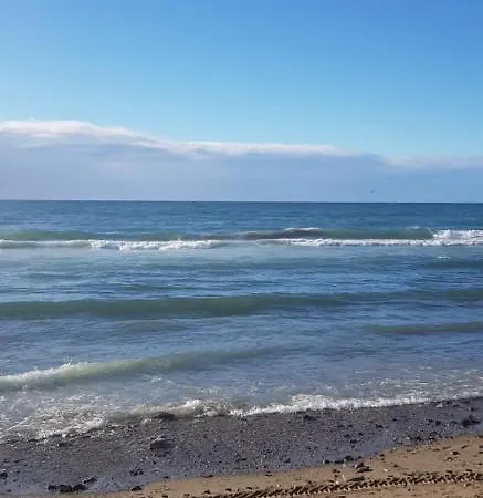 Con Jardin Y Piscina Pet Friendly