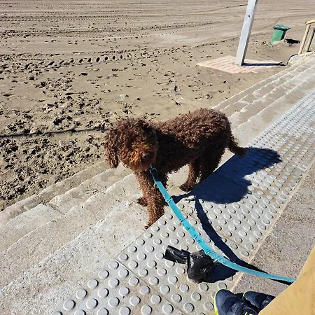 Con Jardin Y Piscina Pet Friendly * 마르베야