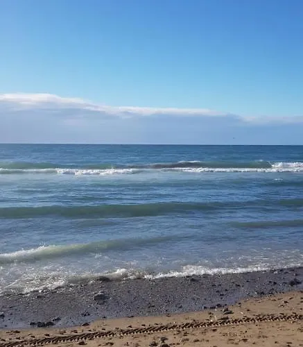 Con Jardin Y Piscina Pet Friendly