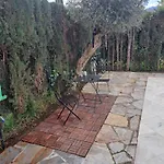 Con Jardin Y Piscina Pet Friendly アパート マルベーリャ