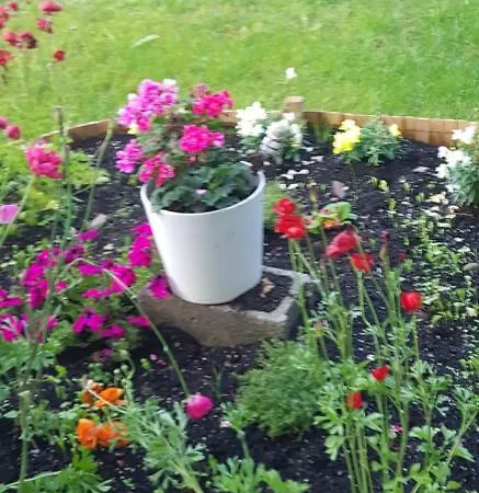 Con Jardin Y Piscina Pet Friendly דירה