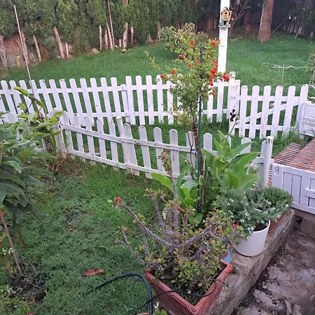 Con Jardin Y Piscina Pet Friendly *