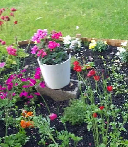 Con Jardin Y Piscina Pet Friendly Lägenhet