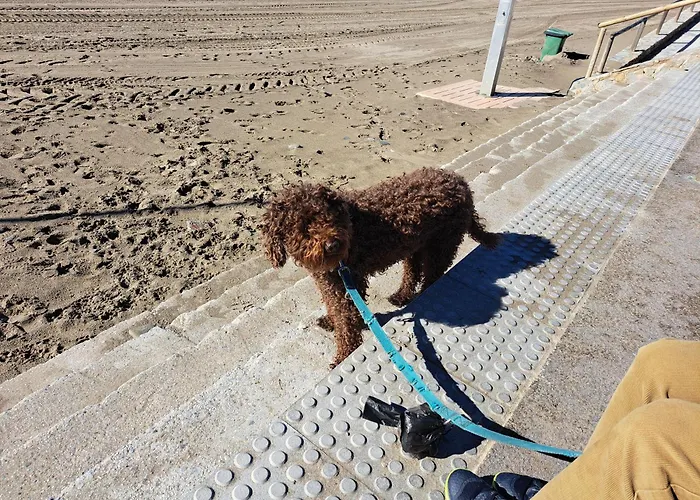 Con Jardin Y Piscina Pet Friendly * Marbella